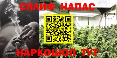 индика Севастополь