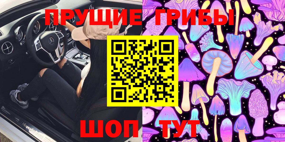 Галлюциногенные грибы GOLDEN TEACHER  где найти   Павлово  Вход с VPN 