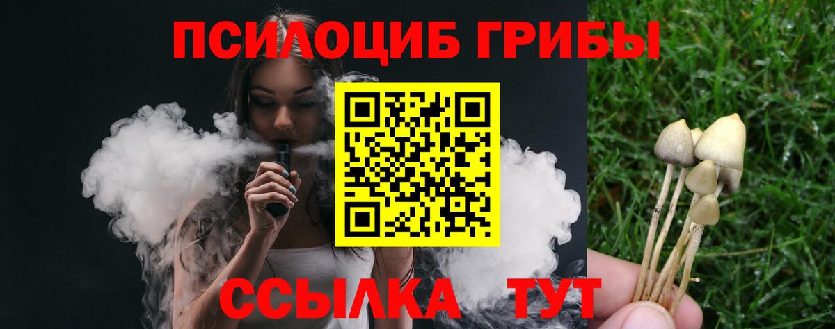 Псилоцибиновые грибы Magic Shrooms Павлово