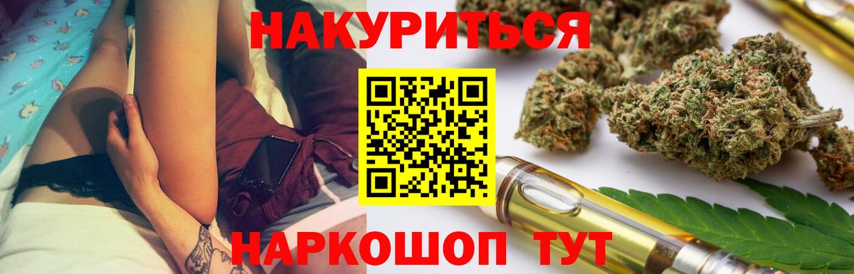Конопля сатива Павлово